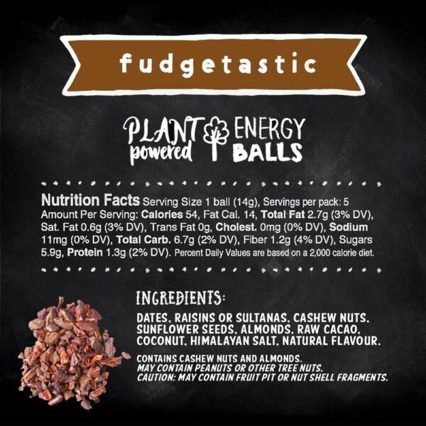 Frooze Balls - Fudgetastic