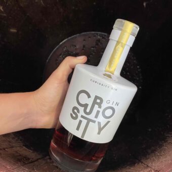 Curiosity Sloe Gin 700ml